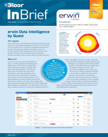 2024 Bloor Research Analyst Review of erwin Data Intelligence