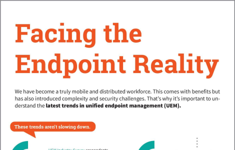 Facing the Endpoint Reality: Unified Endpoint Management (UEM) Trends 