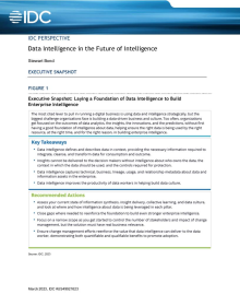 IDC Perspective: Data Intelligence in the Future of Intelligence