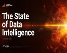 The State of Data Intelligence, October 2024