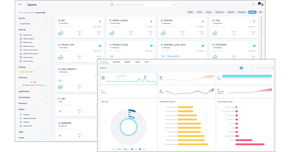 Consumer-Friendly Data Quality Discovery