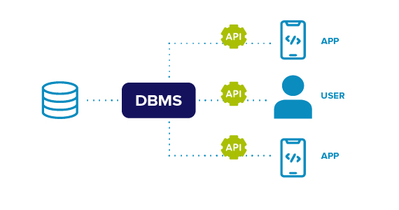 What is a database management system or DBMS?