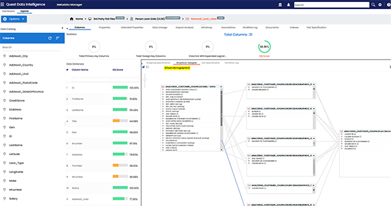 Metadata & mapping management